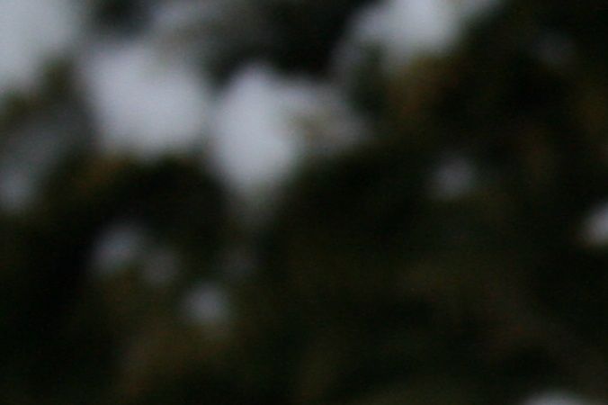 Hodebilde Toby 9 mnd