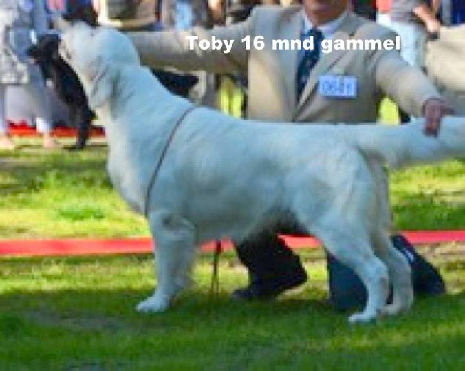 Toby, her vist av Raymond for meg :-)