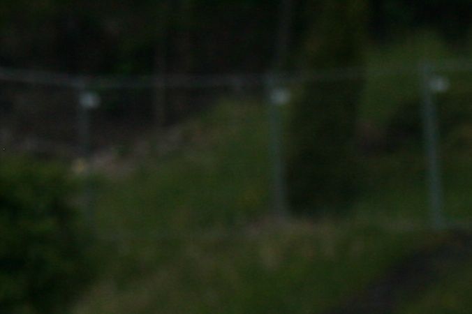 Toby da han vant BIR og BIS på NRK utstilling på Øvrevoll 31. mai 2014