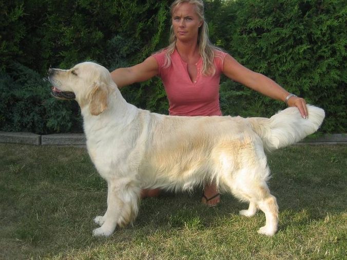 Tasha, på bildet er hun 4 år gammel