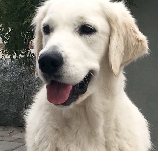 Emma 1 år