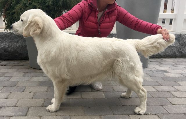 Emma 1 år