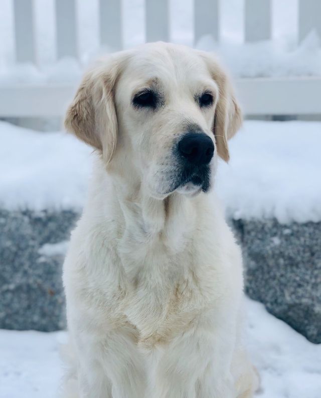Emma 3 år